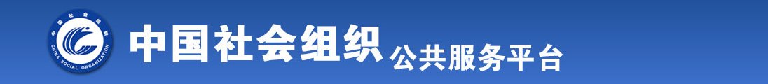 www.日比全国社会组织信息查询